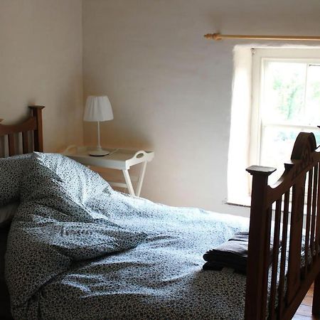 Relaxing Pet Friendly 2-Bed Cottage In Rhandirmwyn Llandovery Kültér fotó