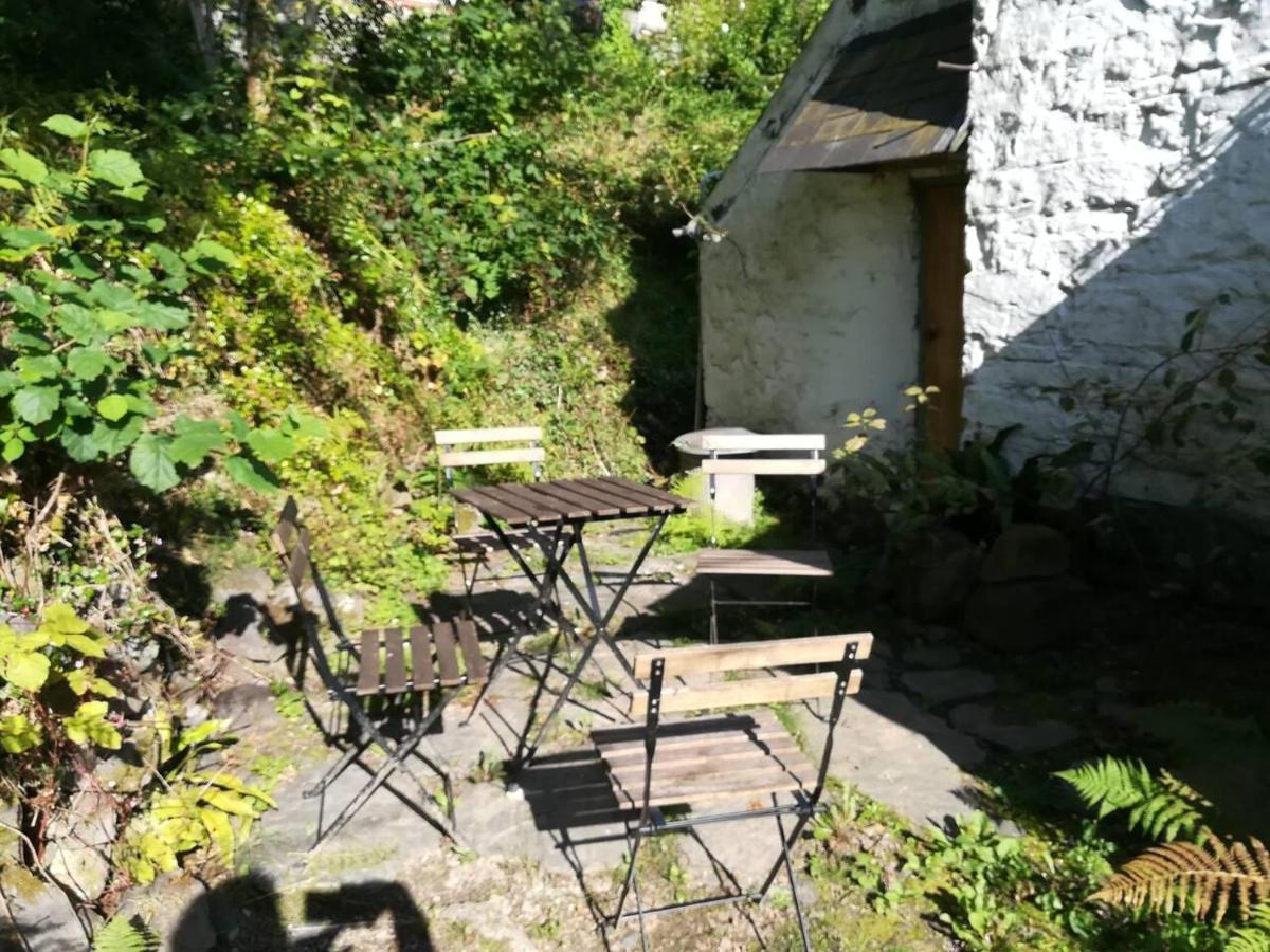 Relaxing Pet Friendly 2-Bed Cottage In Rhandirmwyn Llandovery Kültér fotó