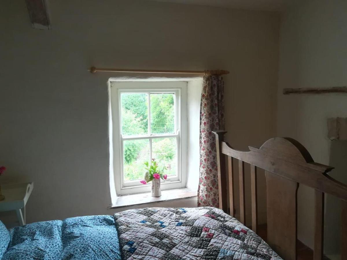 Relaxing Pet Friendly 2-Bed Cottage In Rhandirmwyn Llandovery Kültér fotó