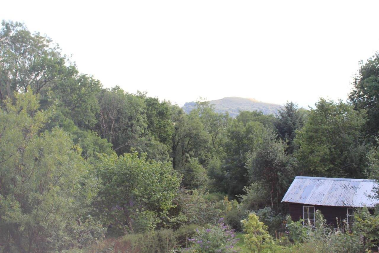 Relaxing Pet Friendly 2-Bed Cottage In Rhandirmwyn Llandovery Kültér fotó