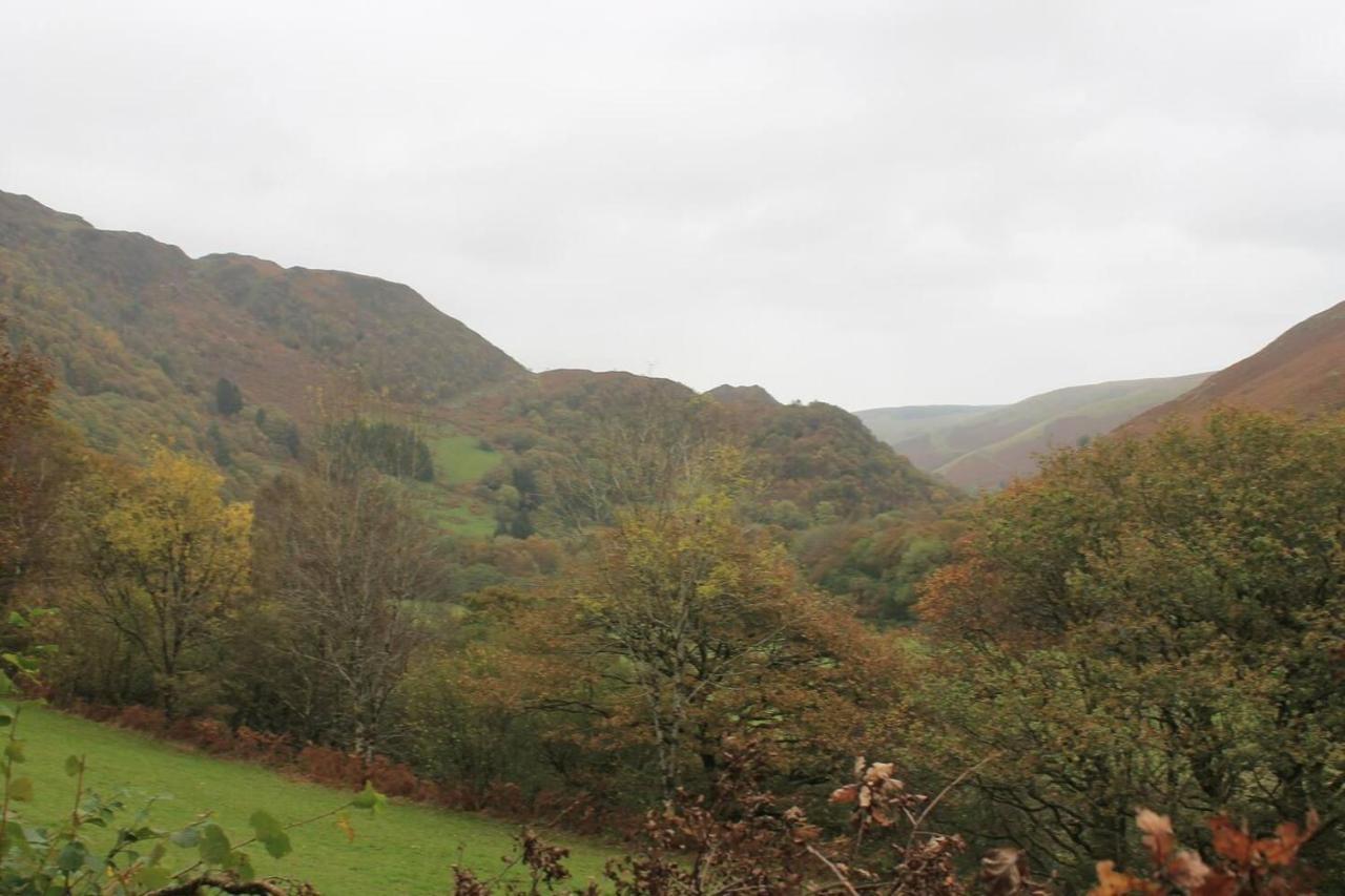 Relaxing Pet Friendly 2-Bed Cottage In Rhandirmwyn Llandovery Kültér fotó